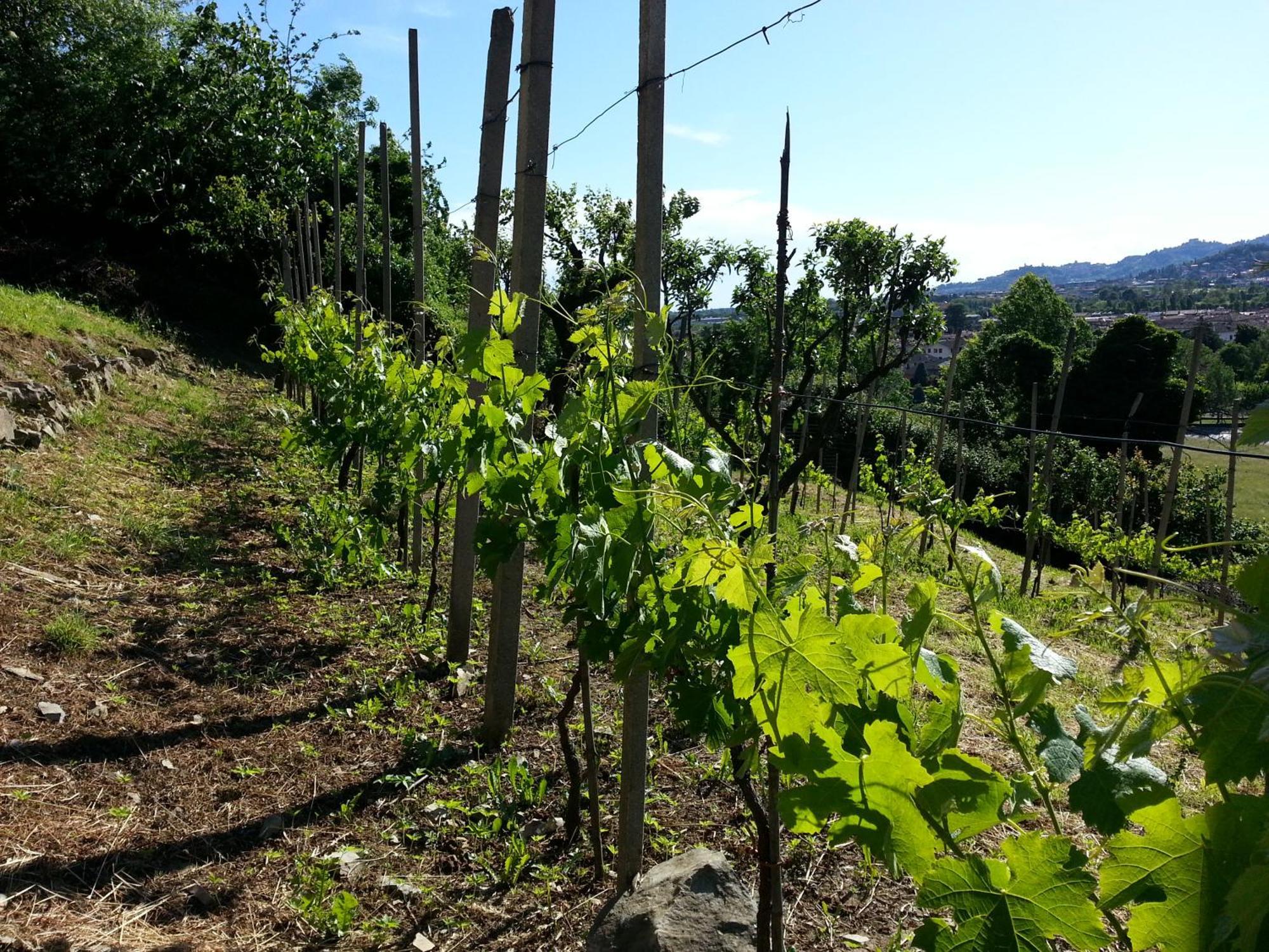 Bergamo Bnb Villa di Serio Kültér fotó